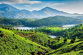 Ooty, often called the “Queen of Hill Stations,” is a charming hill retreat in the Nilgiris