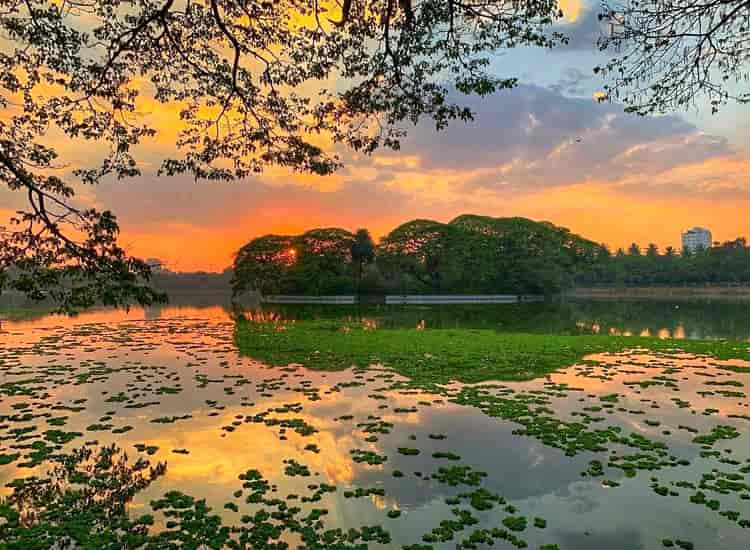Imej kecil: Ulsoor lake