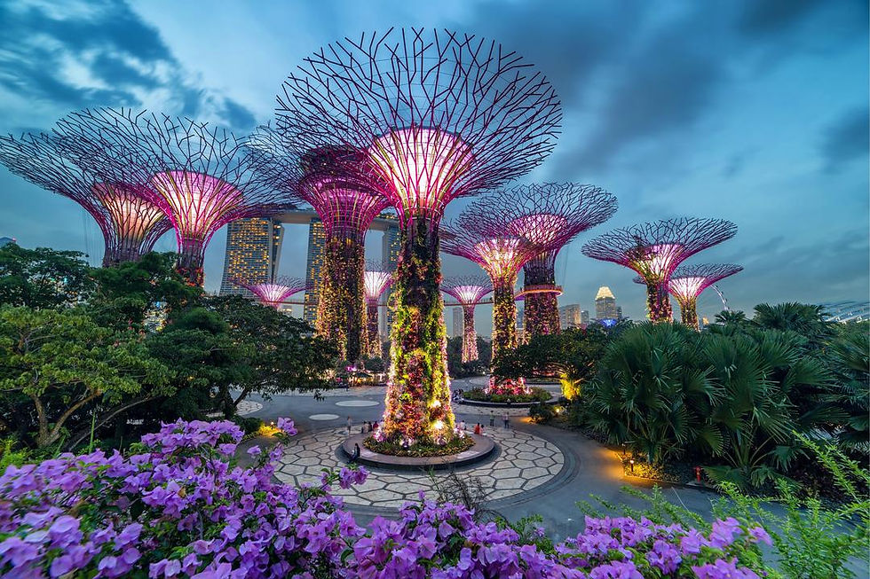 Miniaturbild: Garden by bay