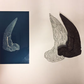 A search for explanations based on finds picked up along the high-water mark.