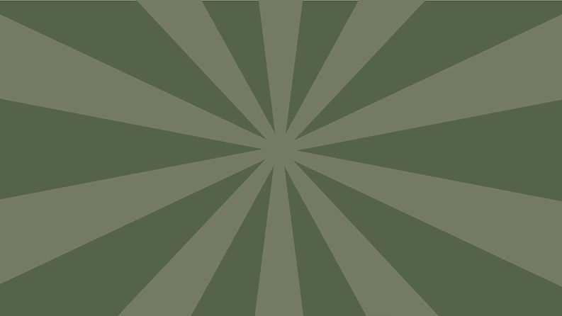 BurstBkgdSlide-WIX-1980x1020.jpeg