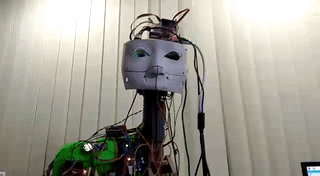 ezgif.com-video-to-gif (5).gif