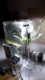 ezgif.com-video-to-gif (10).gif