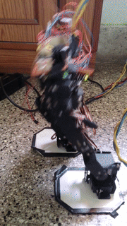 ezgif.com-video-to-gif (2).gif