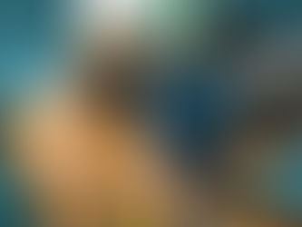 バタフライピー(蝶豆、Clitoria ternatea)