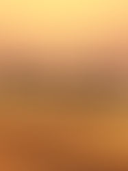 中東情勢とタイの医薬品事情