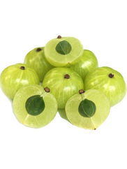 研究報告 エンブリカ(Phyllanthus emblica)