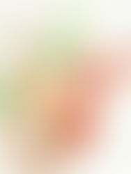 ローゼル(Hibiscus sabdariffa)