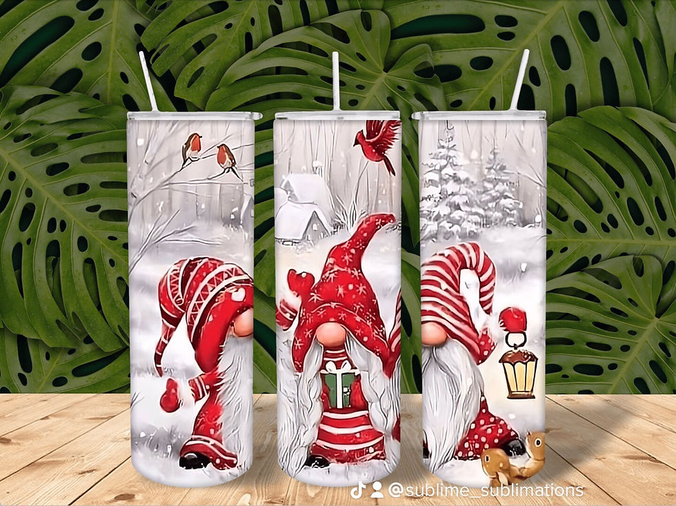 Winter Gnomes