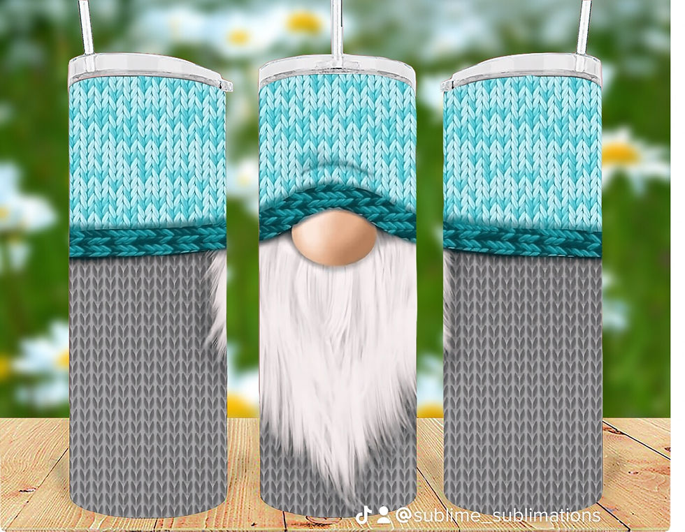 Blue and Gray Gnome