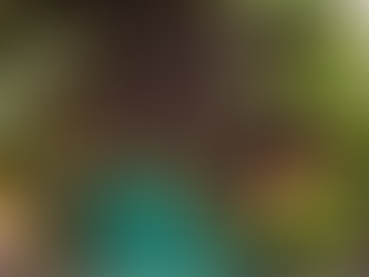 flatlay of gardening items like flowers, gloves and a watering can on soil