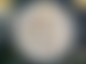 РІЗДВЯНІ СТРАВИ ПО-ВЕГАНУ