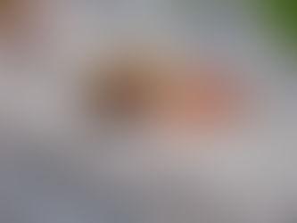 ЕТИЧНИЙ ПІКНІК: ІДЕЇ ДЛЯ СТРАВ НА ПРИРОДІ