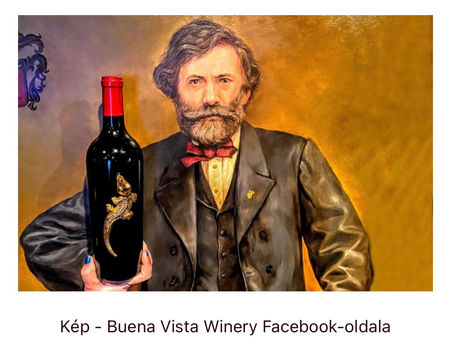 Kalifornia egy magyar „grófnak és ezredesnek” köszönheti szőlőjét és borát