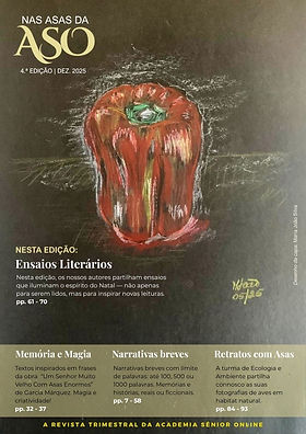 Capa Revista 4a edição.jpg