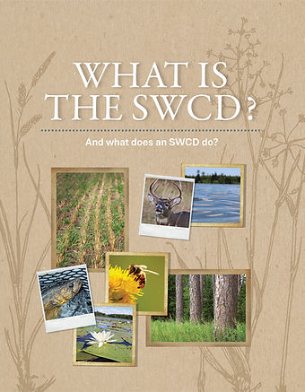 WhatIsSWCDCover.jpg