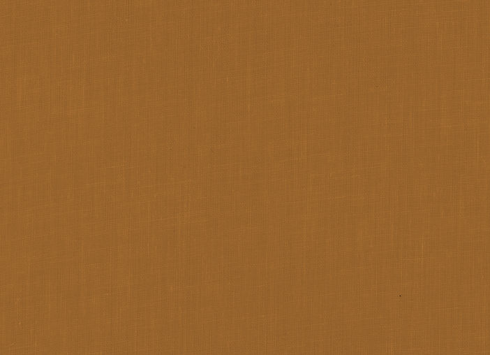 WebBackground_NorthStarOrangeTexture.jpg