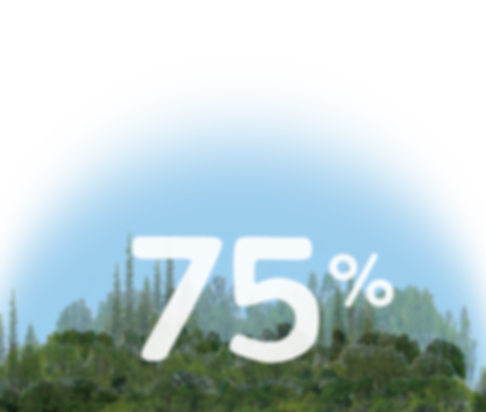 ForestCover4.png
