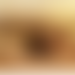 Worship Preview 4.6.25