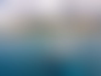 What Will I See?
