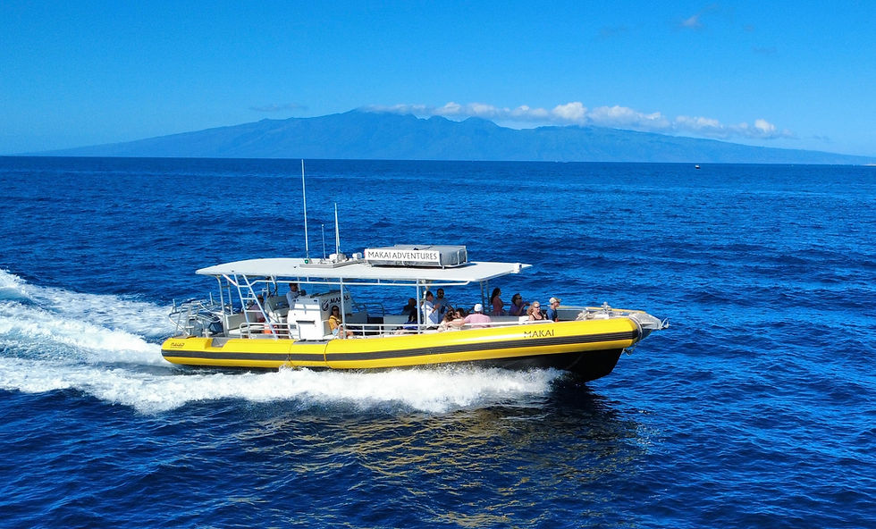 MAKAI Brand New Maui Boat