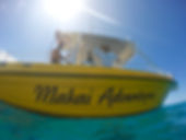 Makai Adventures Maui Private Charters