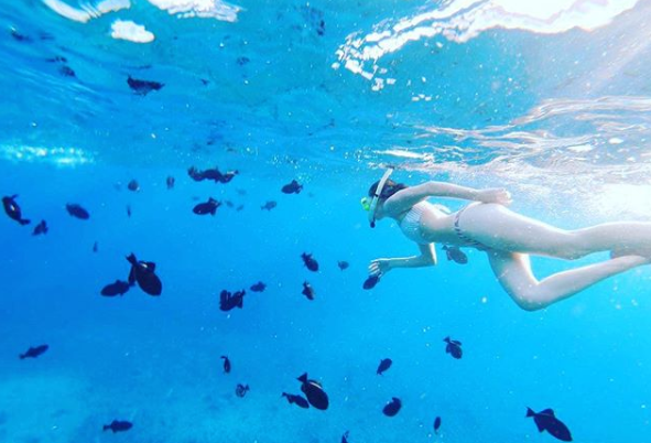 Maui snorkeling