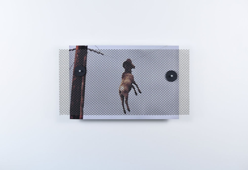 Thumbnail: Simona Brinkmann / Of All Time