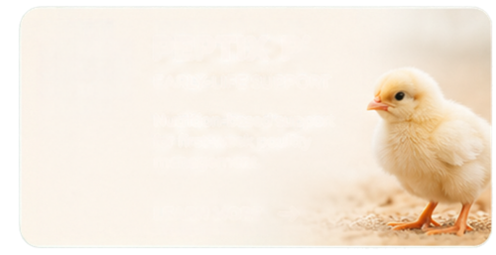 Untitled design (6).png