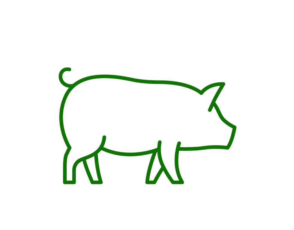 swine (1).png