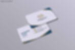 Premium Plus Visiting Cards.jpg