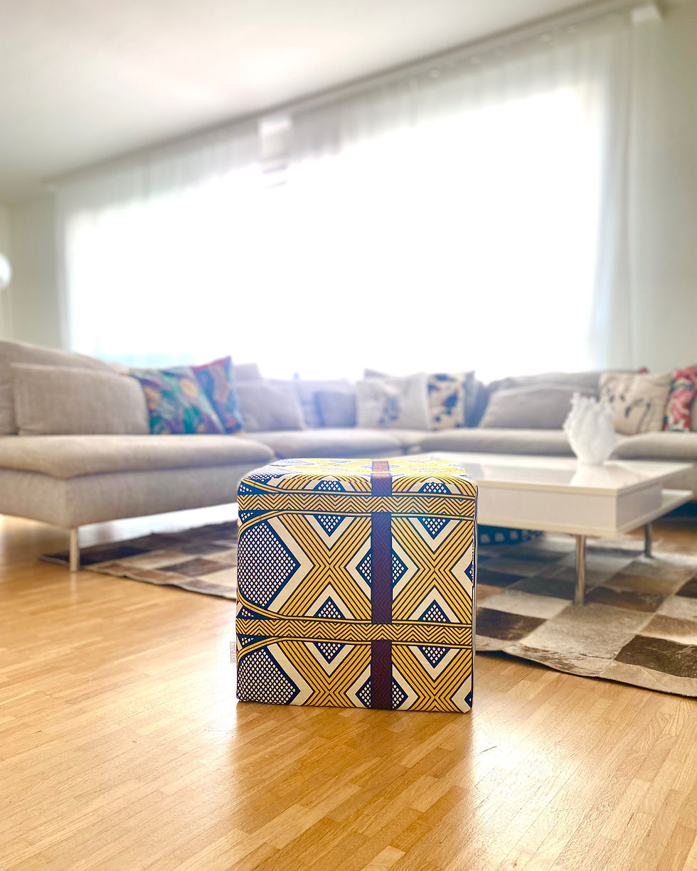 Miniature : Pouf Demba
