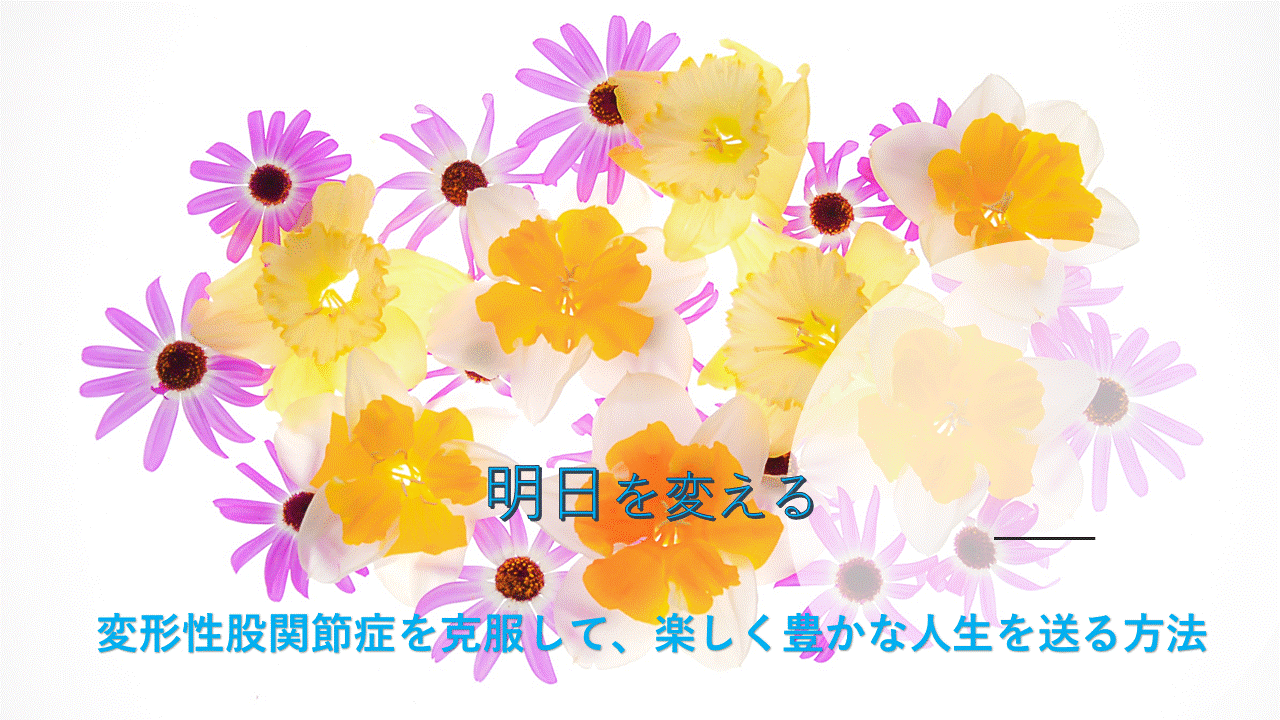 カテゴリ一覧 One Labs