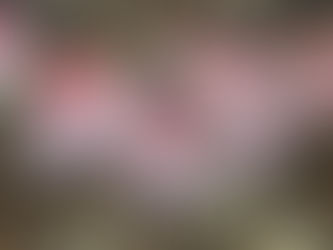 冬野朋子のつぶやき　GINZA SIXへいざ！ | 手作りライト照明教室 PAPERMOON（東京 自由が丘）