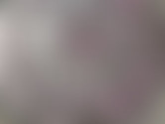 冬野朋子のつぶやき　残春を楽しむ　 | 手作りライト照明教室 PAPERMOON（東京 自由が丘）