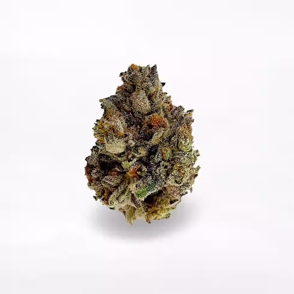 dolato nug.avif