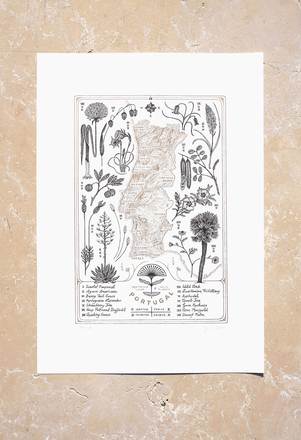 Thumbnail: RISOPRINT Protected Land / Wild Plants – Portugal