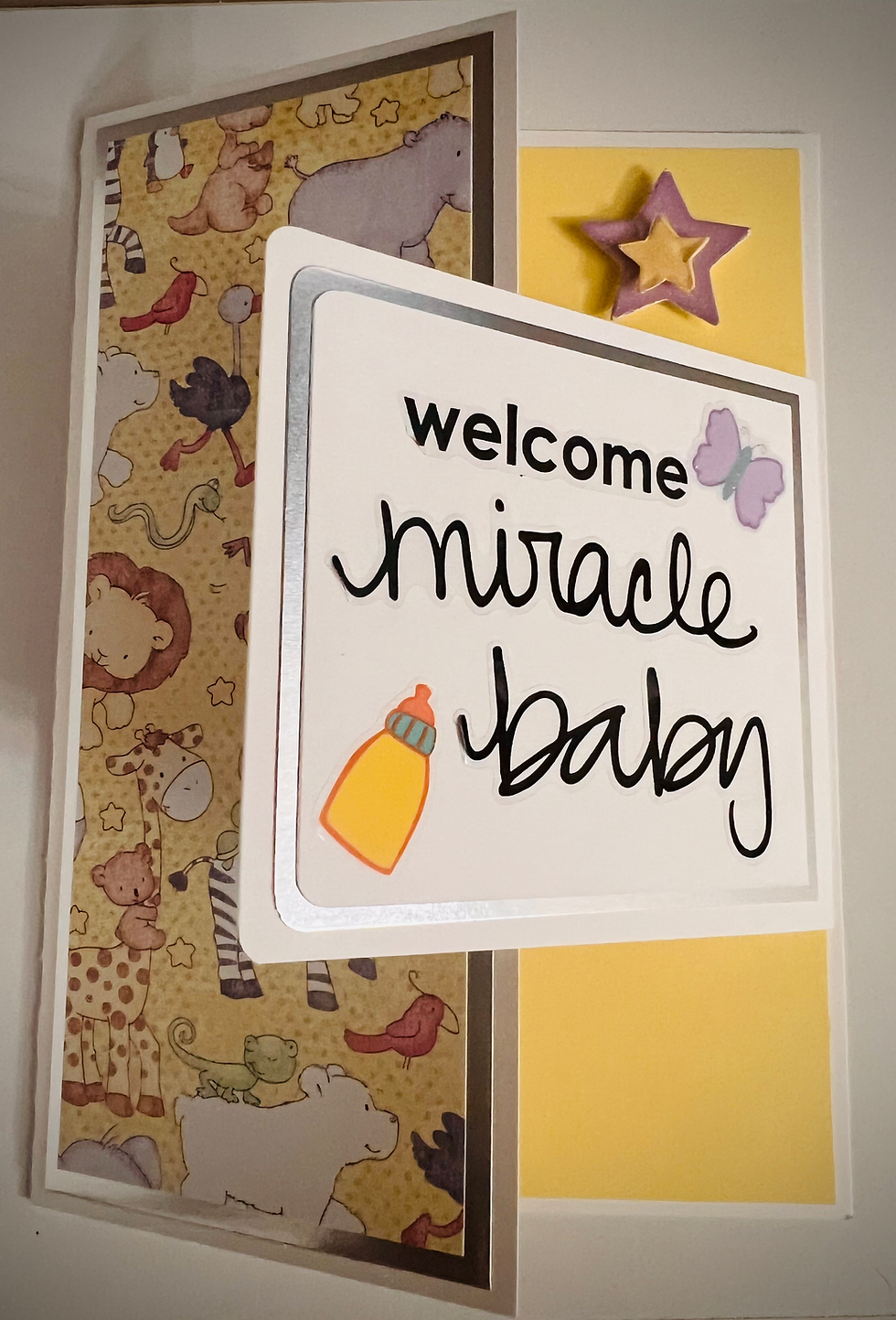 Thumbnail: Welcome Miracle Baby Fun Fold Card
