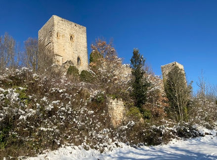 Chateau Puivert