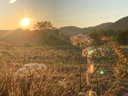 sunrise calming morning routine