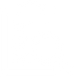 inspection.png