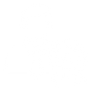 professional-success.png