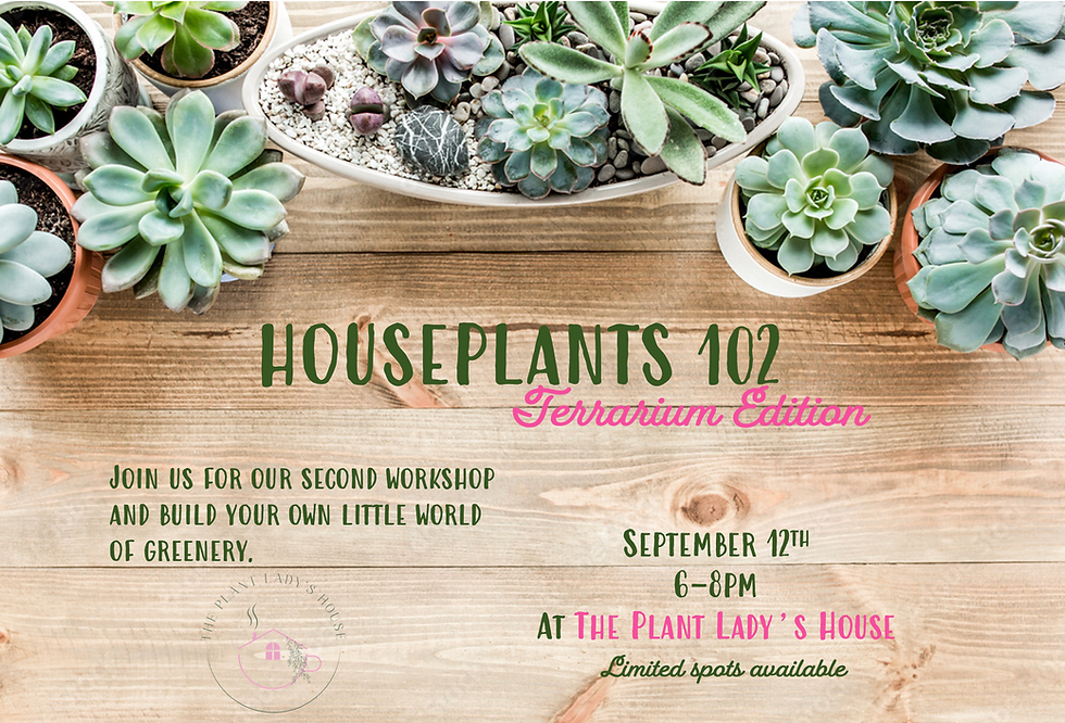 Houseplants 102 - Terrarium Edition