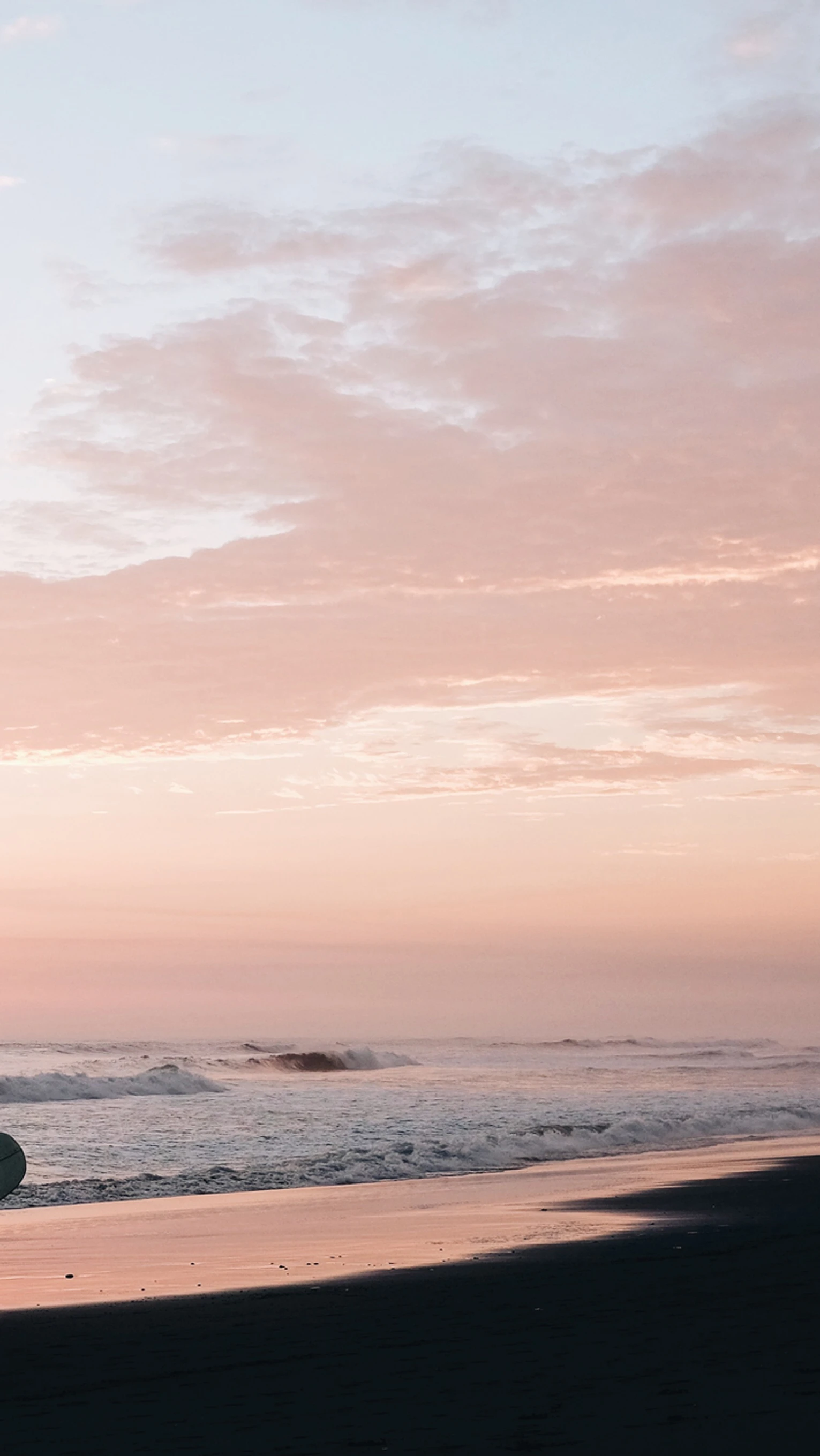 roar clothing website