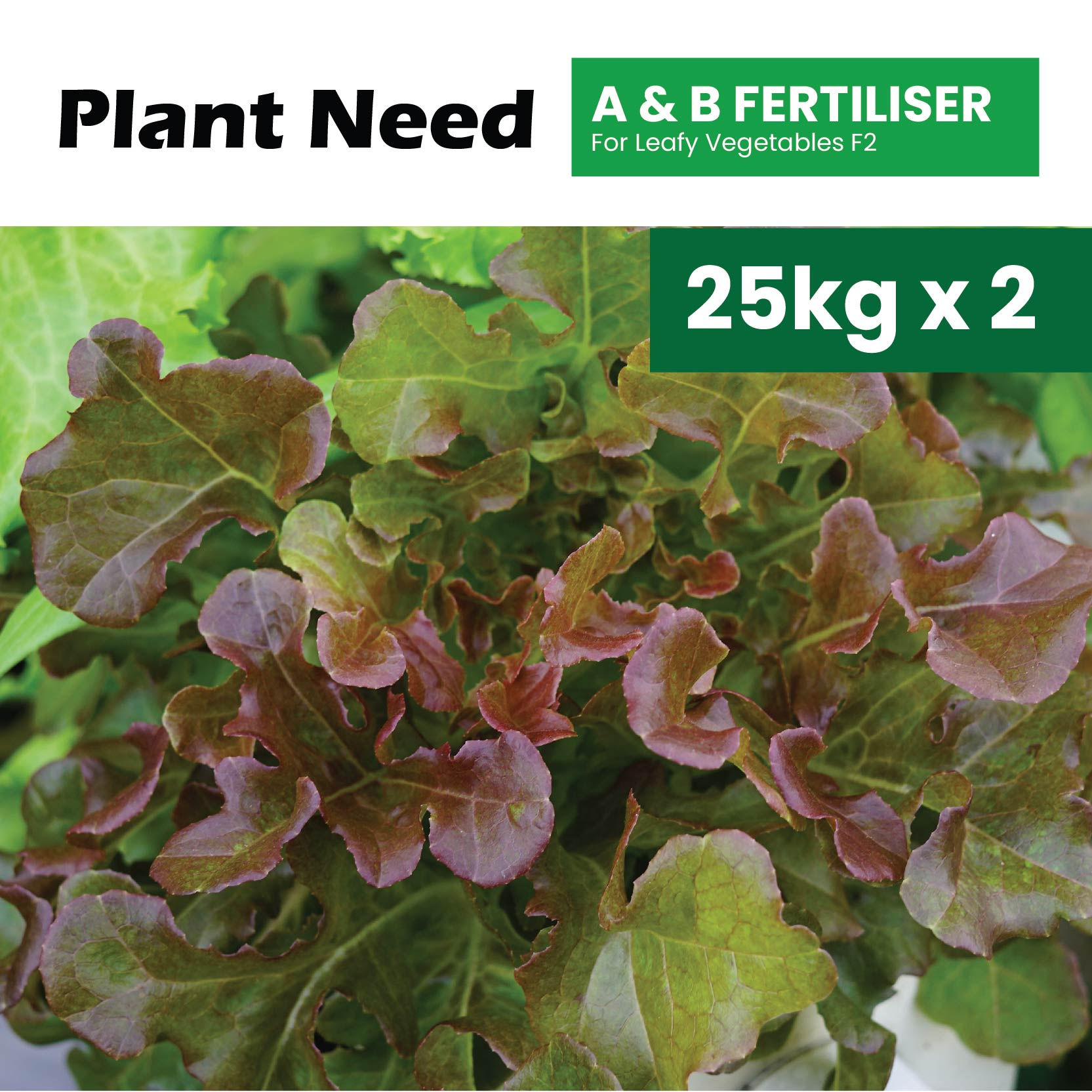 [25kg x 2] PLANTNEED A&B Fertilisers for Leafy Vegetables