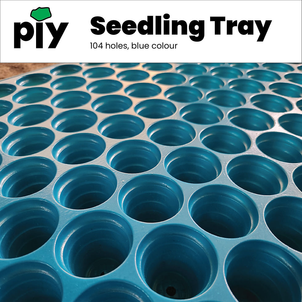 Thumbnail: [SET OF 3] BLUE SEEDLING TRAY 104 holes for germination
