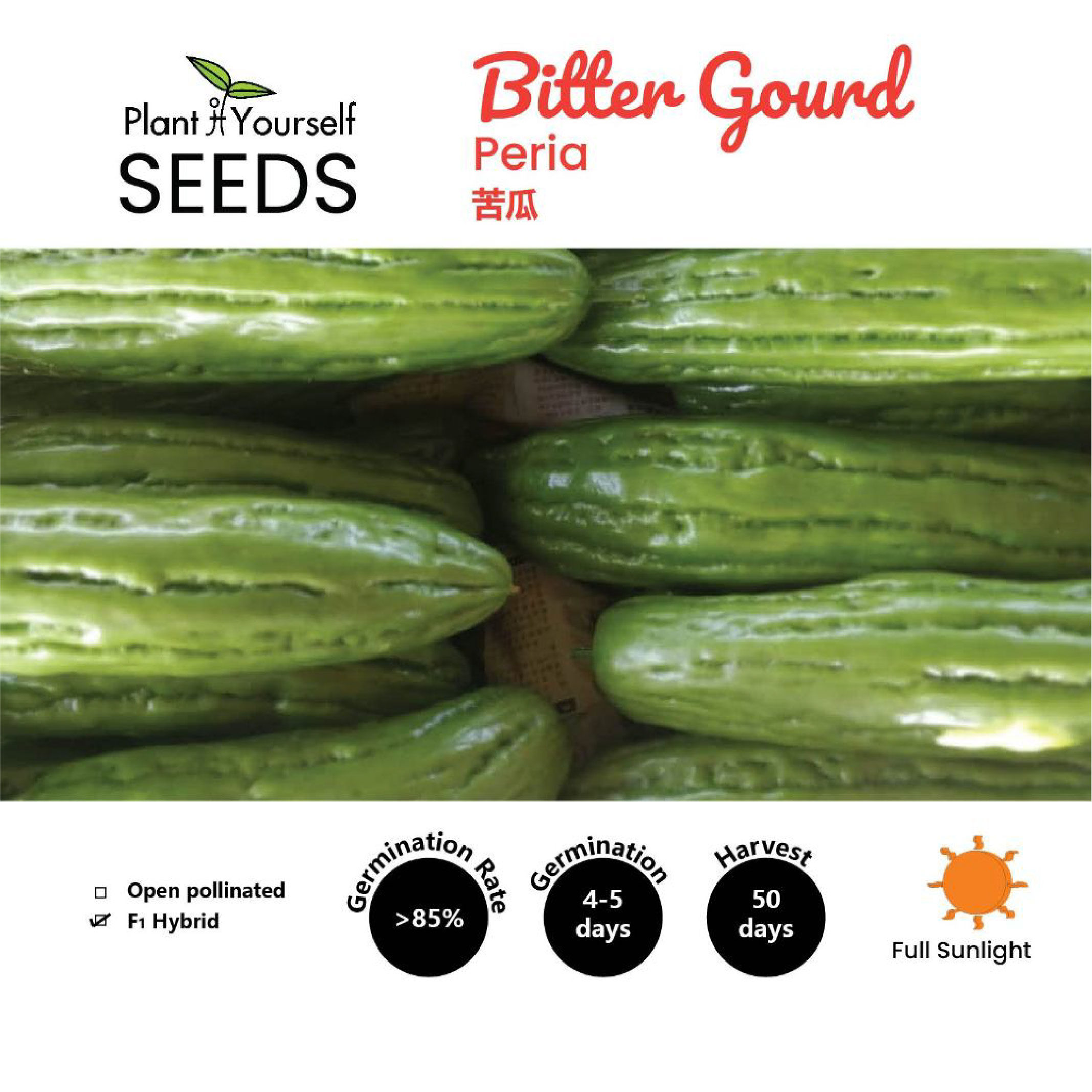 BENIH Peria / SEEDS Bitter Gourd / 种子 - 苦瓜