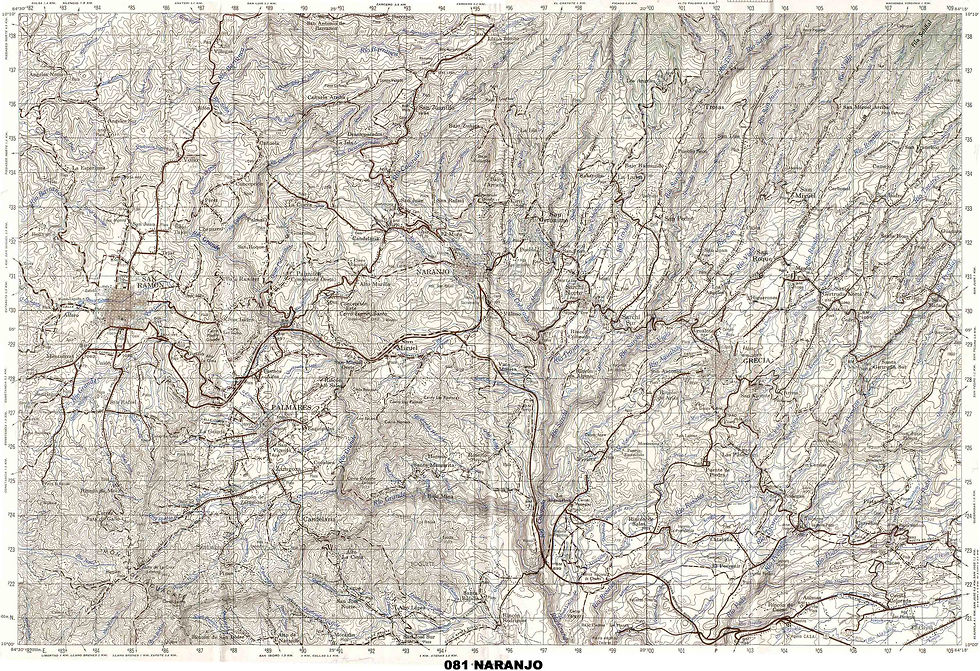 081_NARANJO