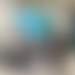 【福岡開催】NESTAストレングス＆パフォーマンス終了報告