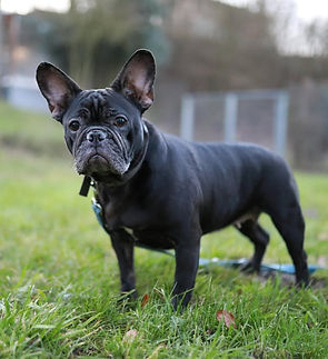 c7c5c306-2729-4d29-96e8-edff4101213f